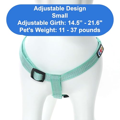 Pawtitas Reflective Step-in Dog Harness – Small Teal No-Pull Vest for Small Dogs