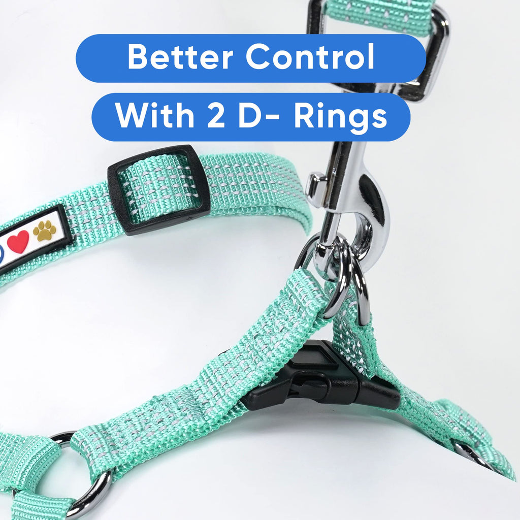 Pawtitas Reflective Step-in Dog Harness – Small Teal No-Pull Vest for Small Dogs