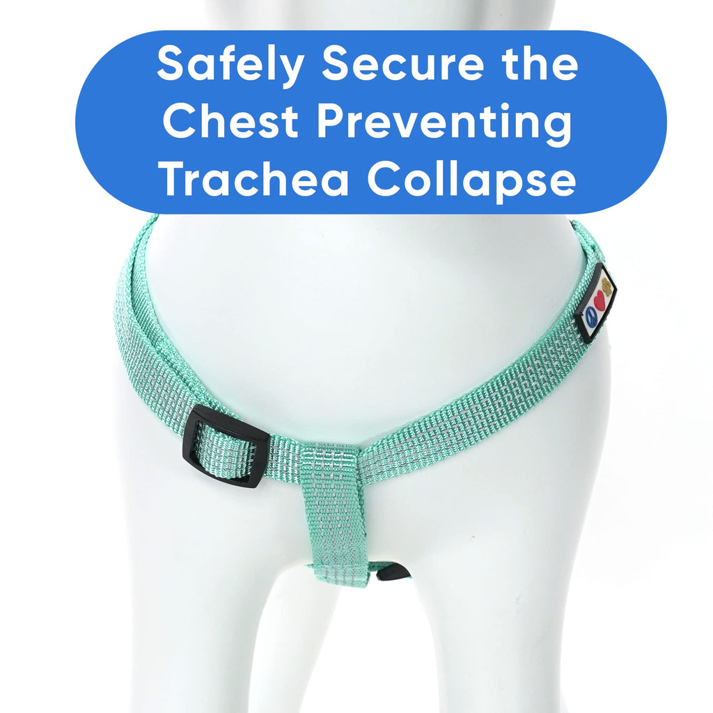 Pawtitas Reflective Step-in Dog Harness – Small Teal No-Pull Vest for Small Dogs