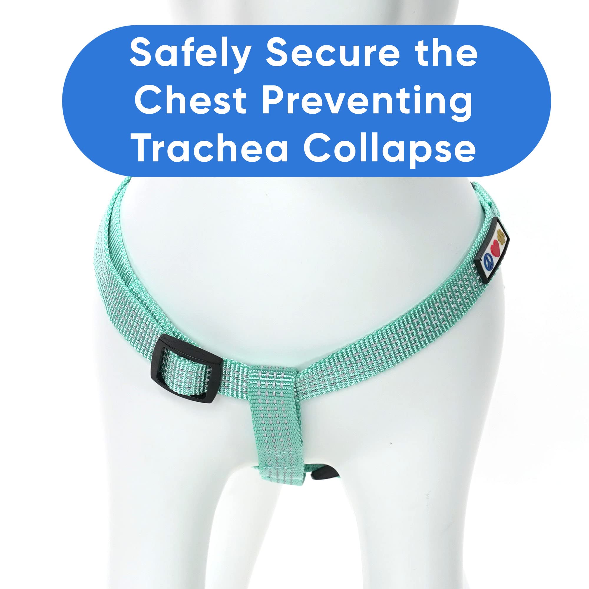 Pawtitas Reflective Step-in Dog Harness – Small Teal No-Pull Vest for Small Dogs