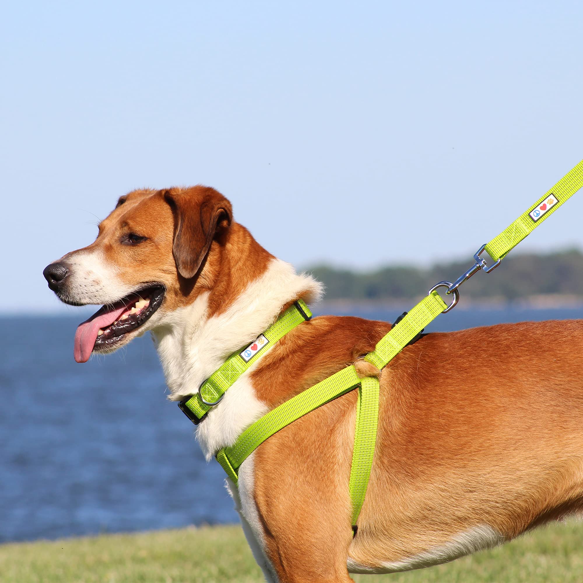 Pawtitas Reflective Step-in Dog Harness – Small Teal No-Pull Vest for Small Dogs
