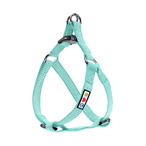 Pawtitas Reflective Step-in Dog Harness – Small Teal No-Pull Vest for Small Dogs