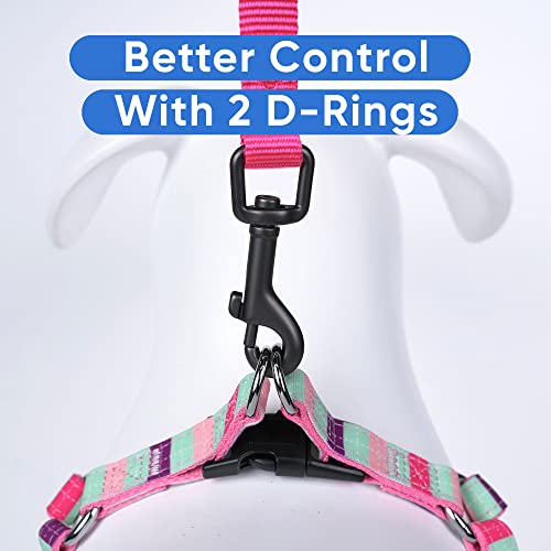 Pawtitas Small Step-in Dog Harness – Multicolor Teal/Pink/Purple, Adjustable No-Pull Vest for Puppies to Seniors