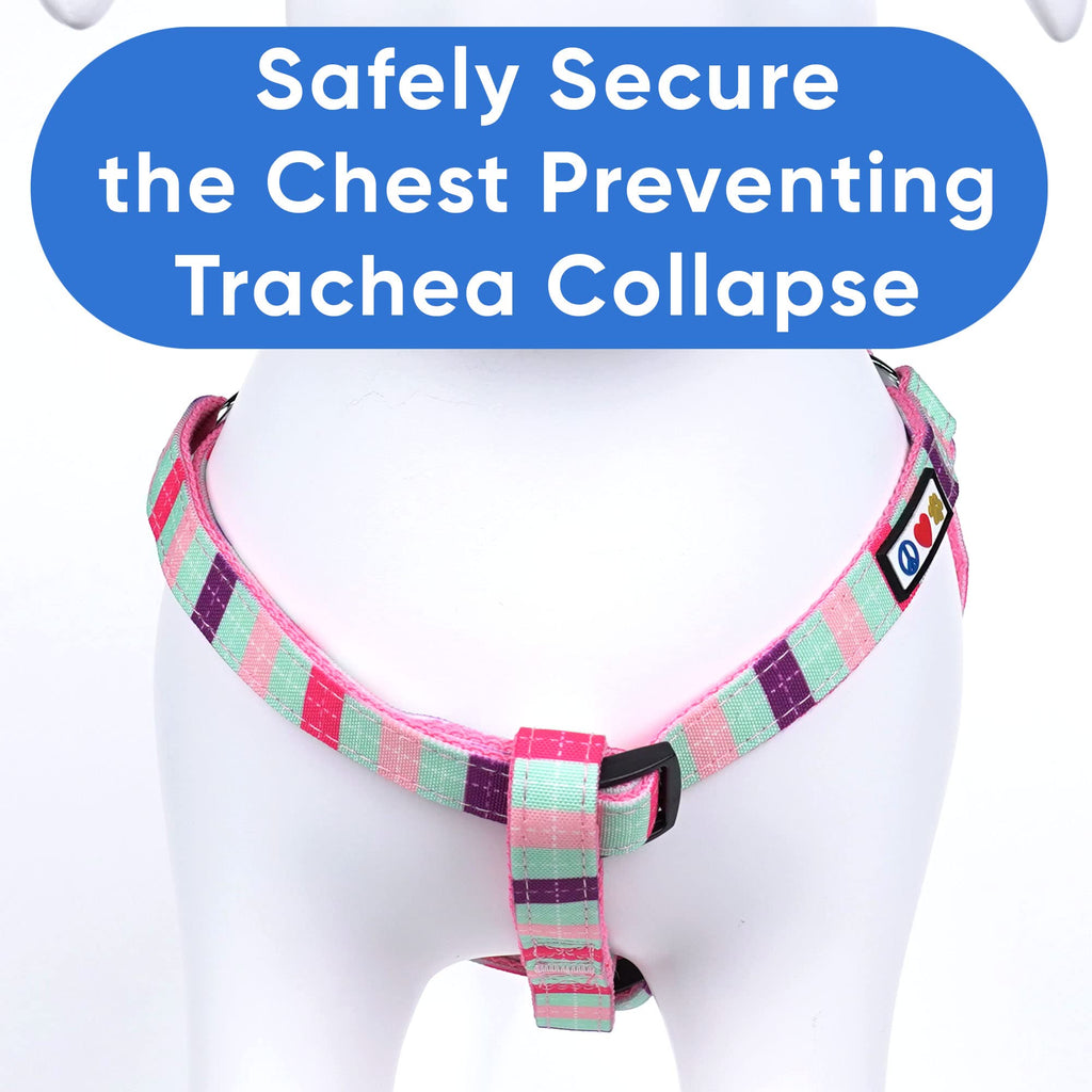 Pawtitas Small Step-in Dog Harness – Multicolor Teal/Pink/Purple, Adjustable No-Pull Vest for Puppies to Seniors