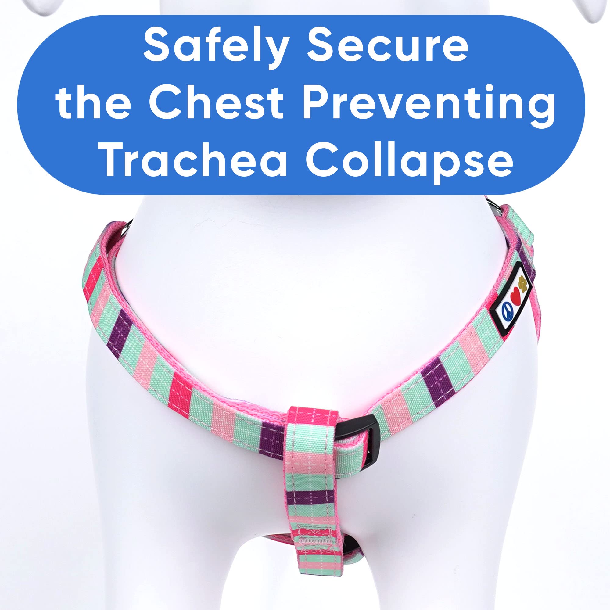 Pawtitas Small Step-in Dog Harness – Multicolor Teal/Pink/Purple, Adjustable No-Pull Vest for Puppies to Seniors
