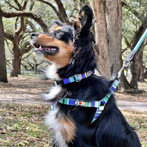 Pawtitas Small Step-in Dog Harness – Multicolor Teal/Pink/Purple, Adjustable No-Pull Vest for Puppies to Seniors