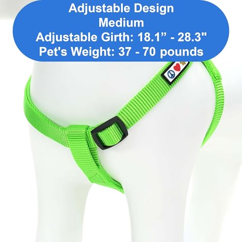 Pawtitas Solid Green Step-in Dog Harness – Medium Nylon No-Pull Vest for Dogs