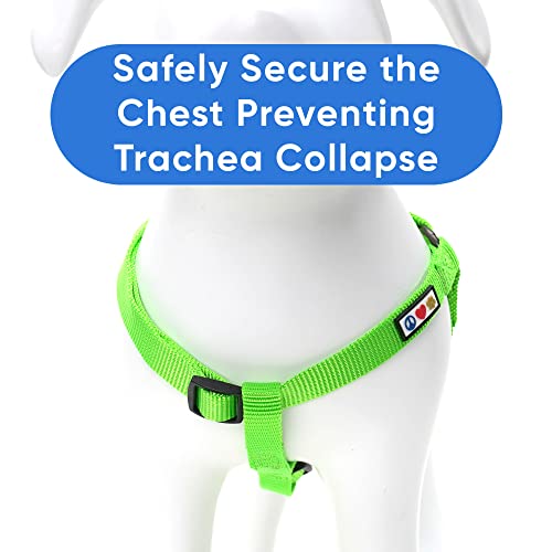 Pawtitas Solid Green Step-in Dog Harness – Medium Nylon No-Pull Vest for Dogs