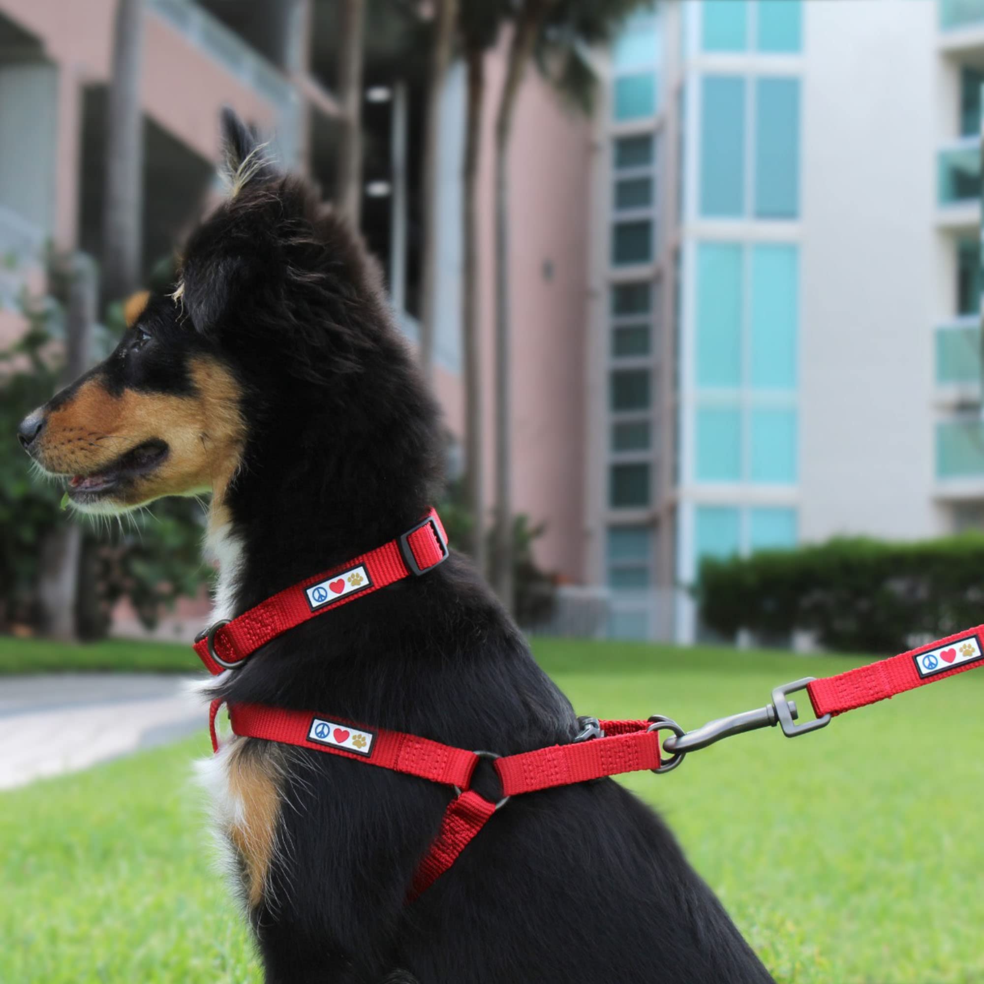 Pawtitas Solid Green Step-in Dog Harness – Medium Nylon No-Pull Vest for Dogs