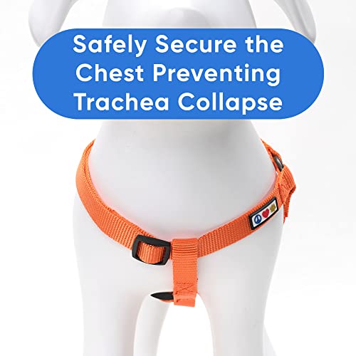 Pawtitas Solid Step-in Dog Harness Large Orange – Adjustable No-Pull Vest for Large Breeds