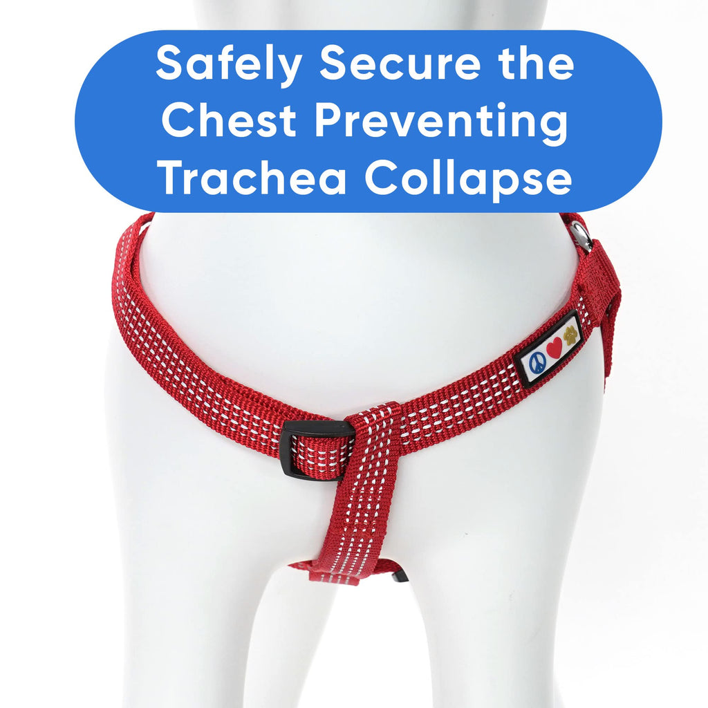 Pawtitas Step-in Dog Harness – Small Red Reflective No-Pull Vest for Puppies and Senior Dogs