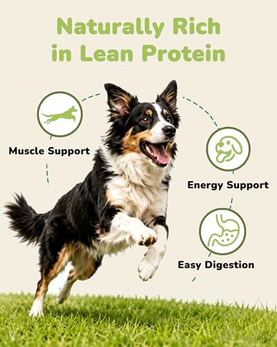 PAWUP Freeze Dried Chicken Dog Treats - 100% Single Ingredient Chicken Breast, High Protein, Grain Free, 4.6 oz