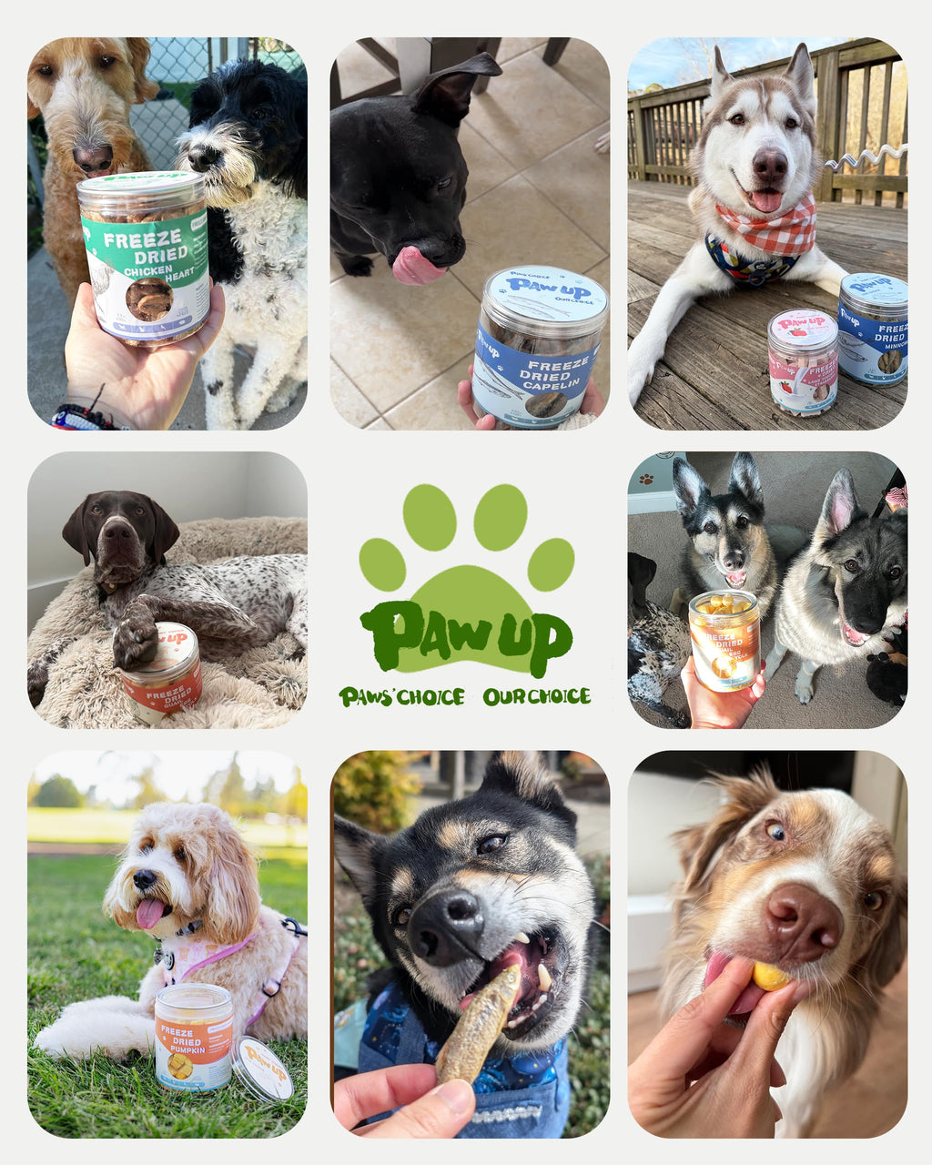 PAWUP Freeze Dried Chicken Dog Treats - 100% Single Ingredient Chicken Breast, High Protein, Grain Free, 4.6 oz