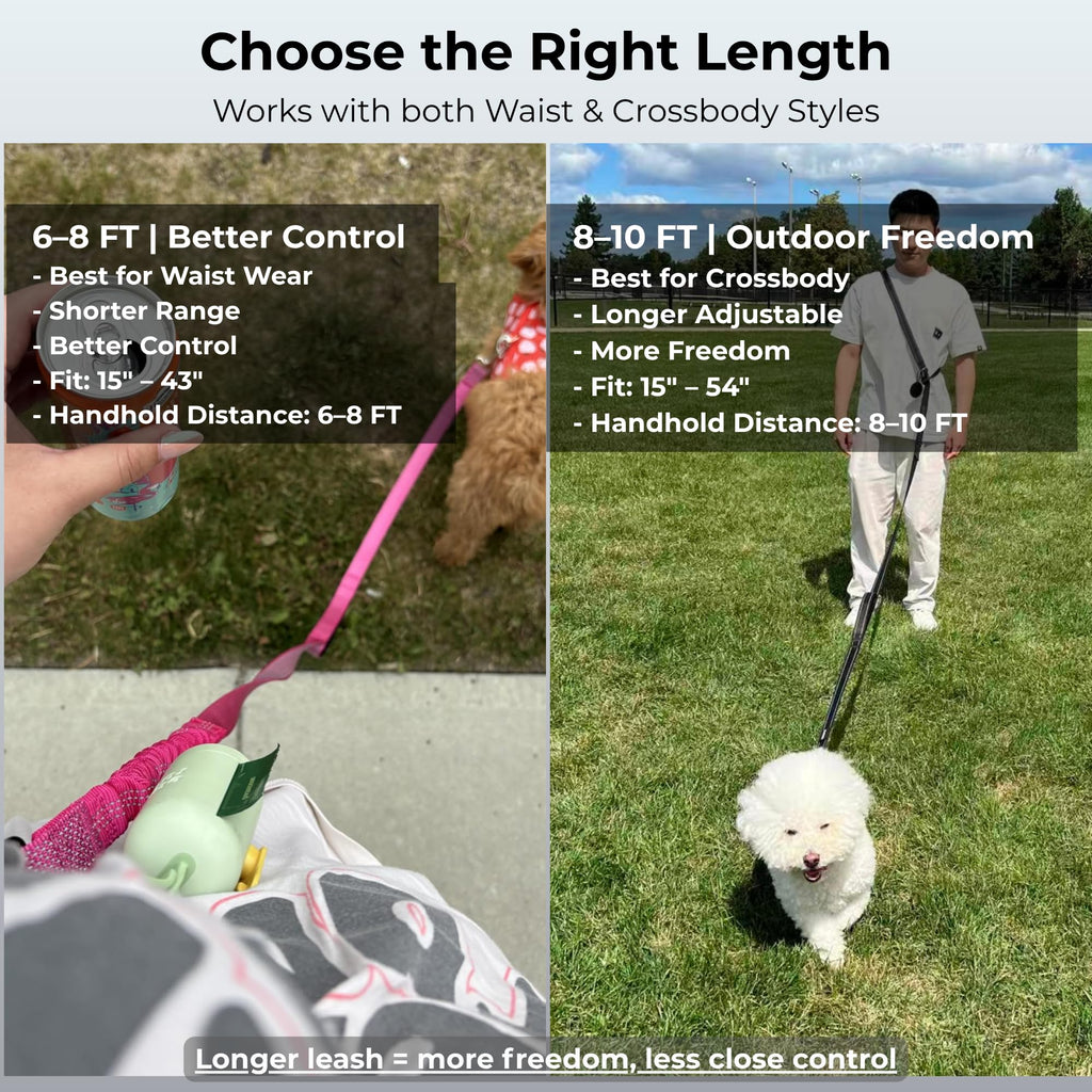 PAWZPAL Hands-Free Dog Leash 8-10ft - Adjustable Waist/Crossbody with Shock Absorption & Reflective Stitching for Hiking and Canicross (Aqua Blue)