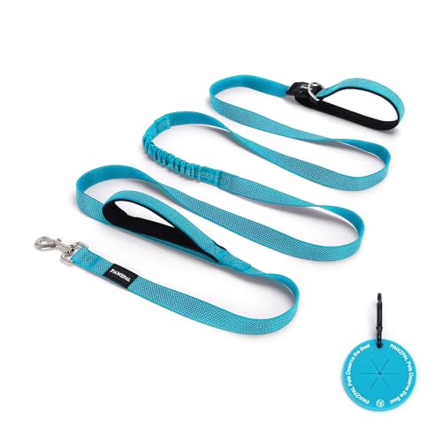 PAWZPAL Hands-Free Dog Leash 8-10ft - Adjustable Waist/Crossbody with Shock Absorption & Reflective Stitching for Hiking and Canicross (Aqua Blue)