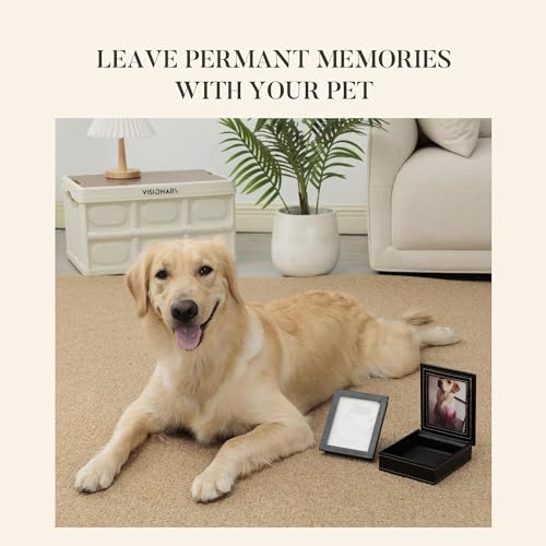 PCS Paw Print Kit – Non-Toxic Clay Pet Paw Print Keepsake in Black Synthetic Leather Box