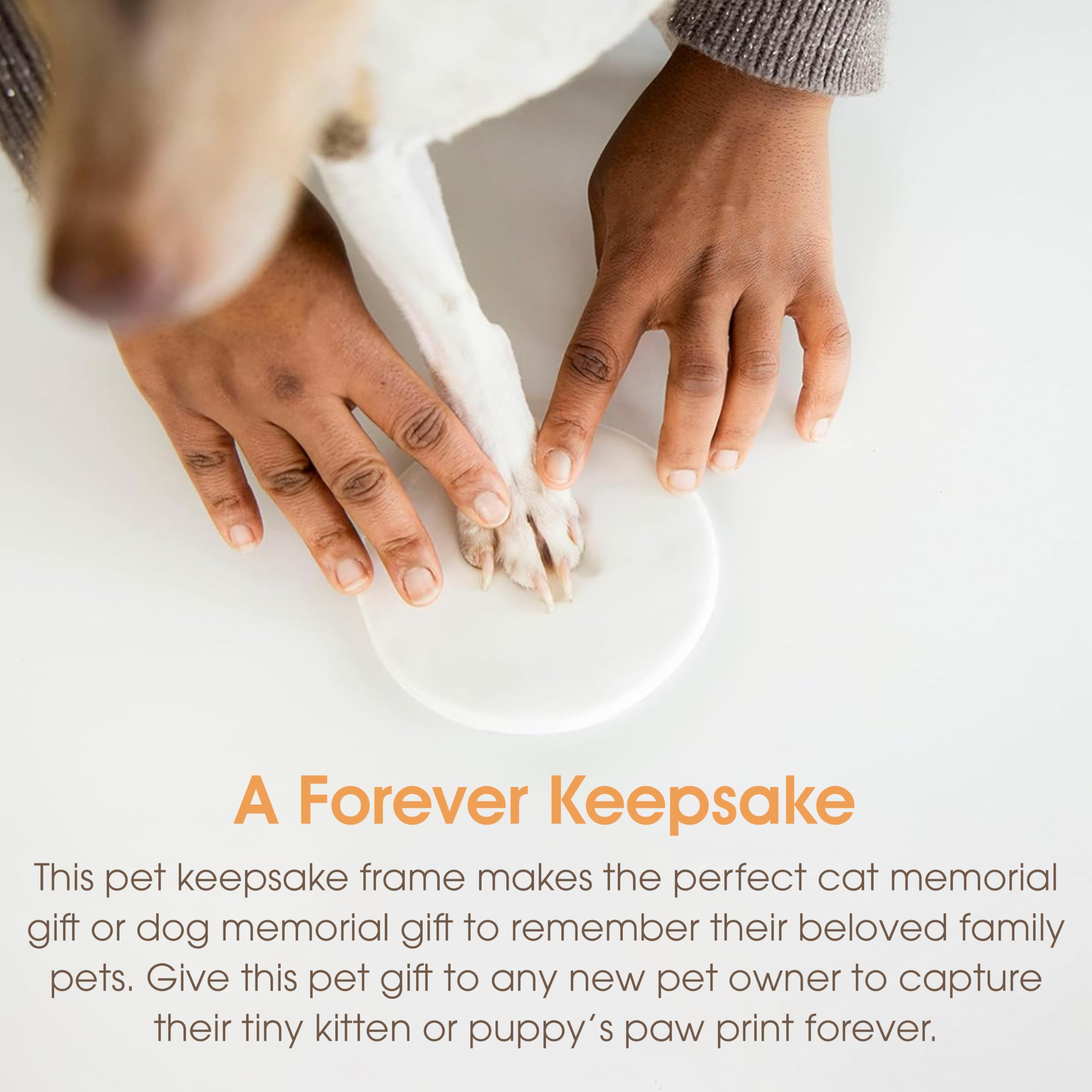 Pearhead Pet Paw Print Photo Frame with Clay Imprint Kit - Distressed Gray Wood Frame for Cats & Dogs