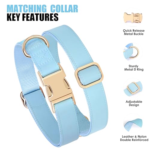 PET ARTIST Soft PU Leather Dog Collar for Medium Dogs - Blue, Nylon Padded with Quick Release Metal Buckle, Adjustable 13-19" Neck