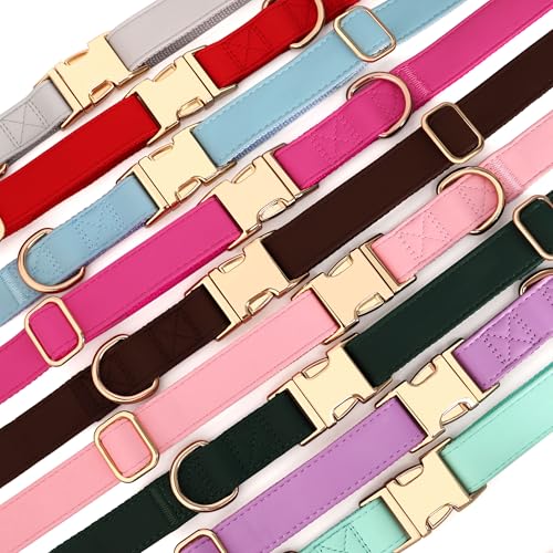 PET ARTIST Soft PU Leather Dog Collar for Medium Dogs - Blue, Nylon Padded with Quick Release Metal Buckle, Adjustable 13-19" Neck
