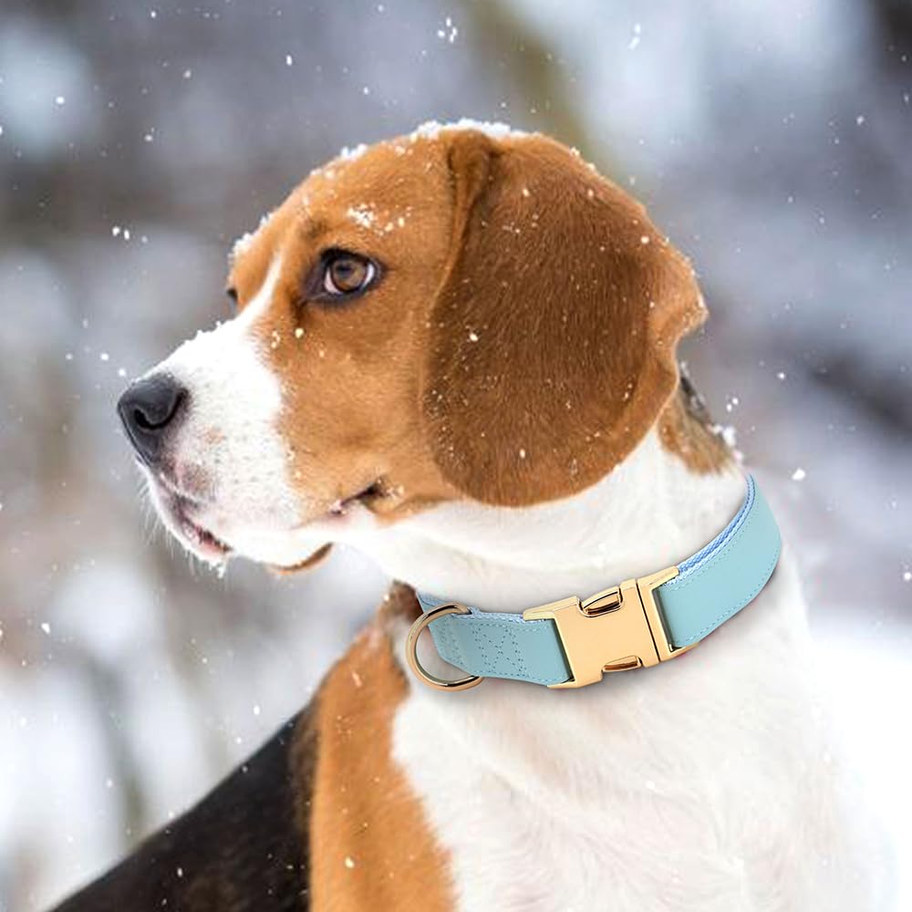 PET ARTIST Soft PU Leather Dog Collar for Medium Dogs - Blue, Nylon Padded with Quick Release Metal Buckle, Adjustable 13-19" Neck