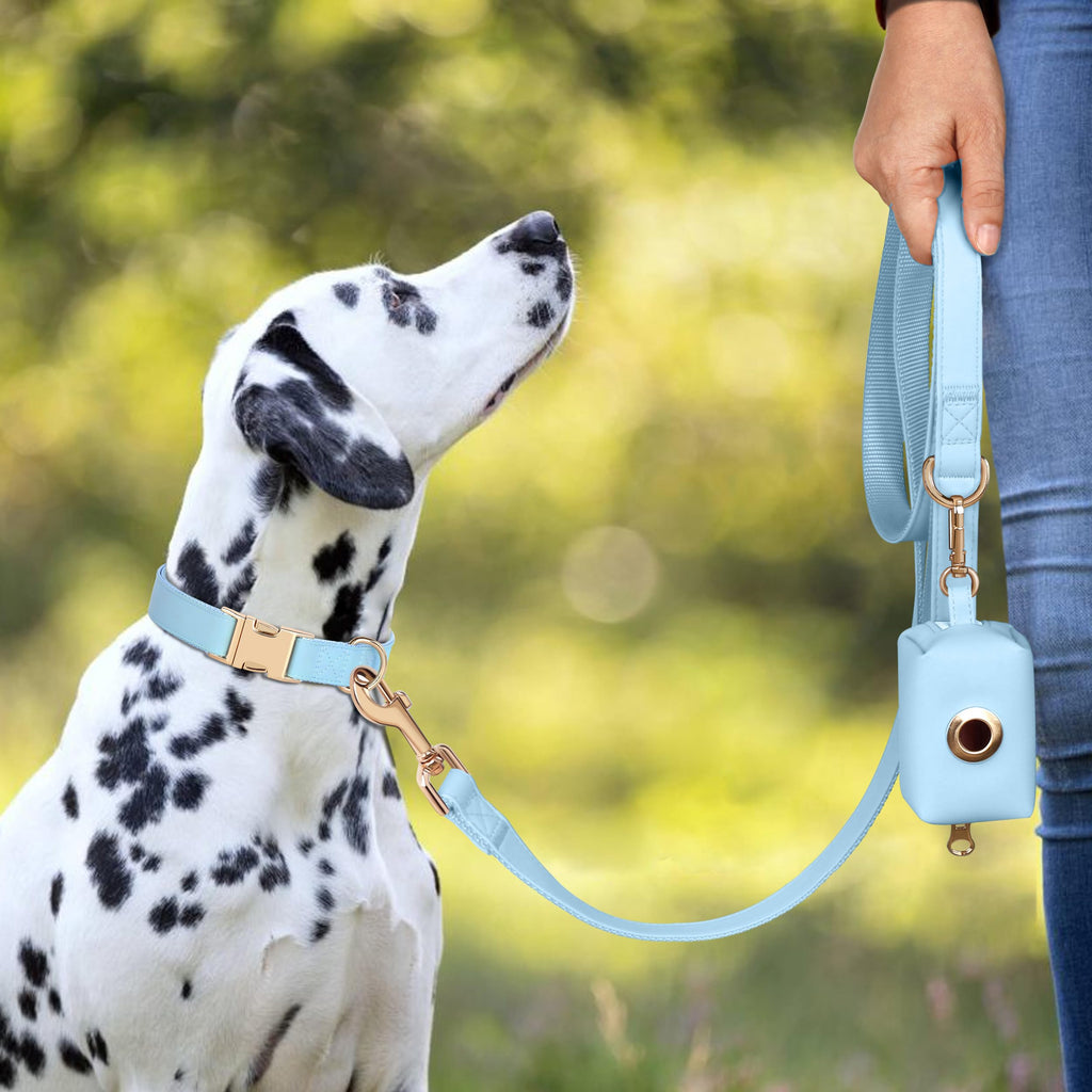 PET ARTIST Soft PU Leather Dog Collar for Medium Dogs - Blue, Nylon Padded with Quick Release Metal Buckle, Adjustable 13-19" Neck