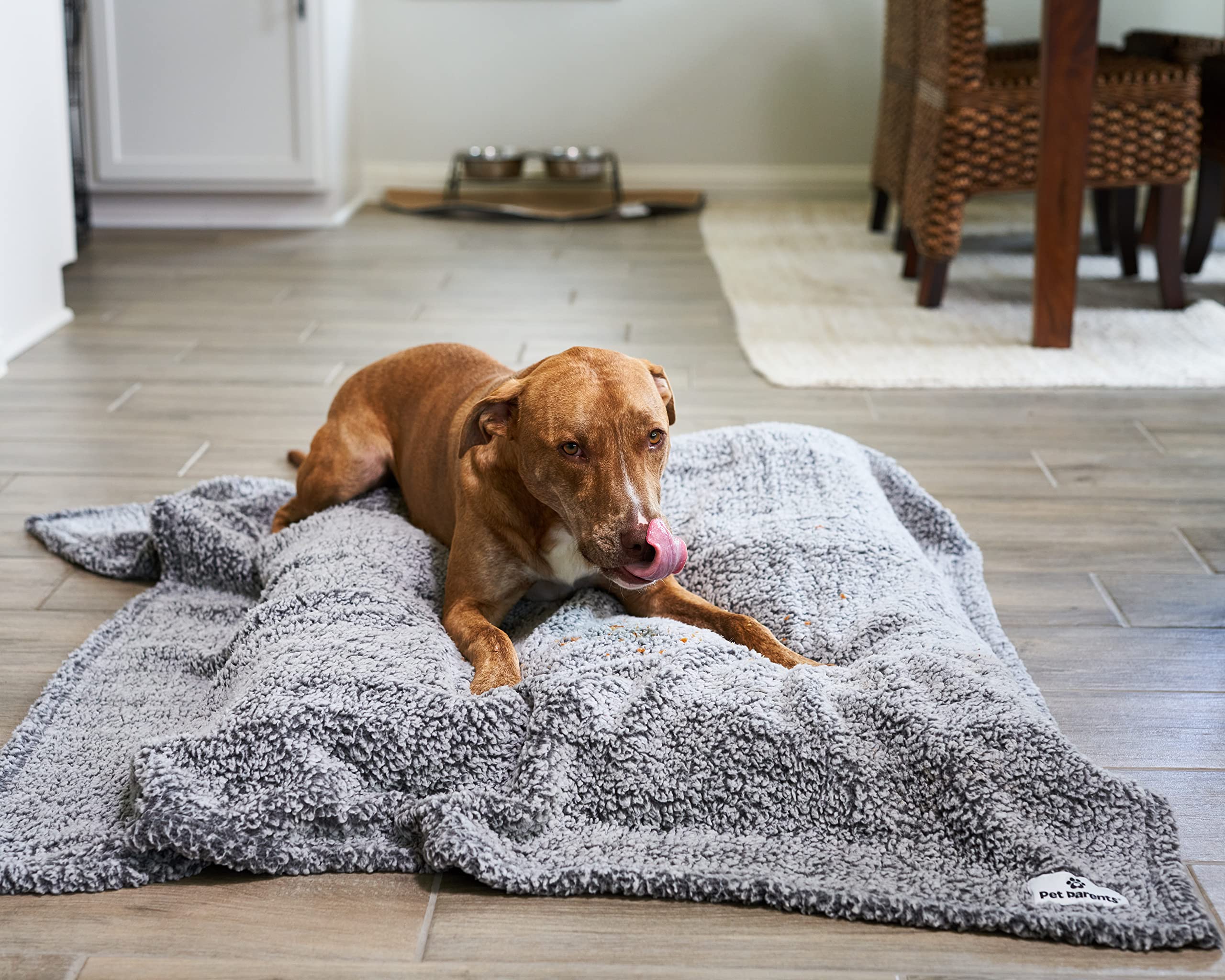 Pet Parents Large Slate Blanket - Soft Sherpa Dog and Cat Blanket, Water Resistant, Reversible, 60x50 Inches