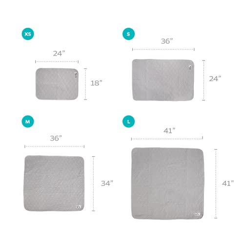 Pet Parents Pawtect Reusable Dog Pee Pads (2-Pack, 18x24", Grey & Tan)