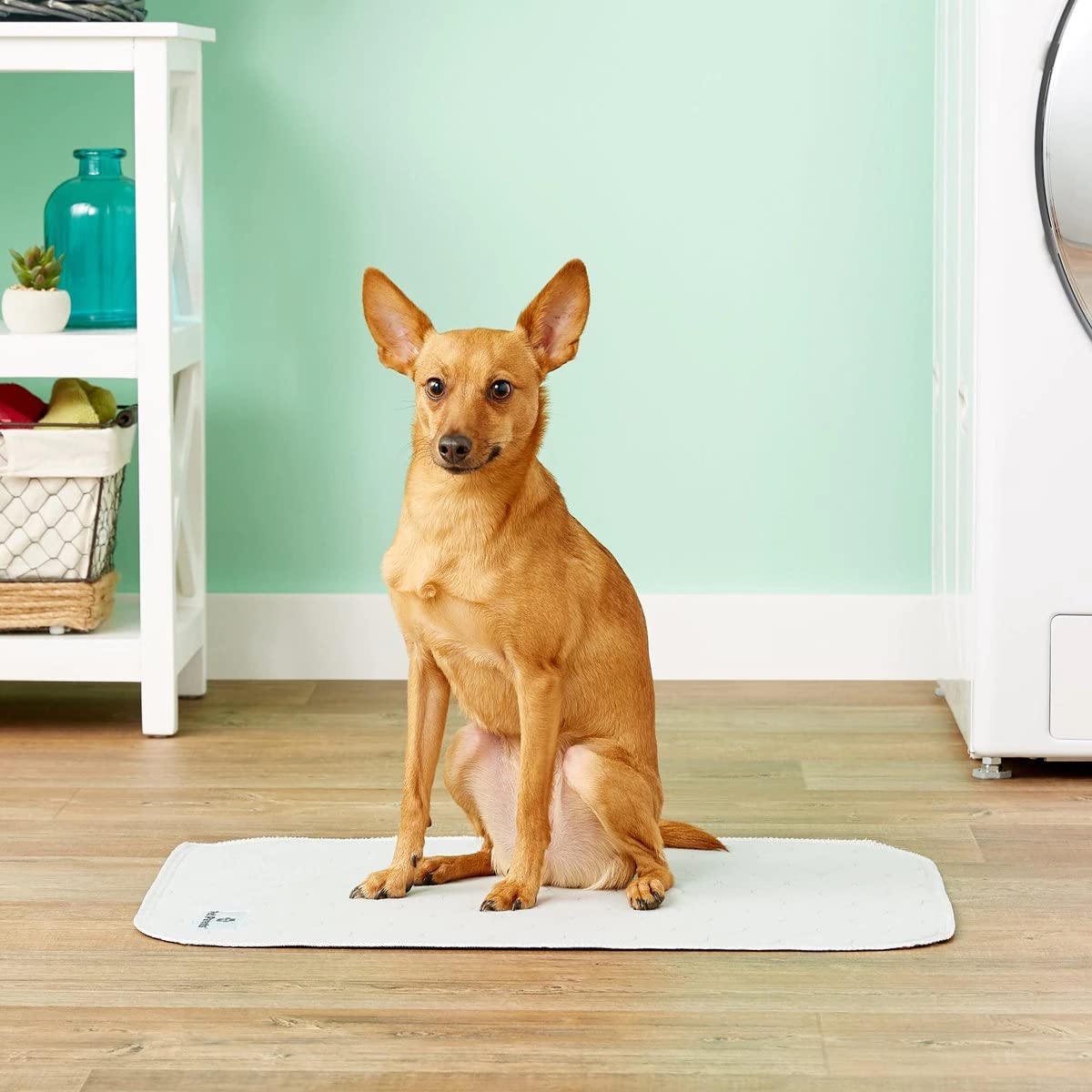 Pet Parents Pawtect Reusable Dog Pee Pads (2-Pack, 18x24", Grey & Tan)