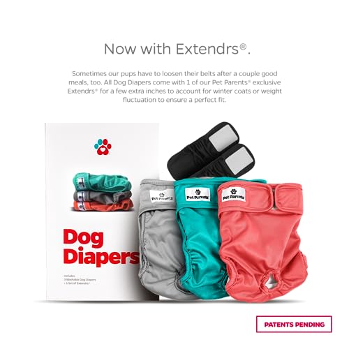 Pet Parents Washable Dog Diapers 3-Pack – X-Small (4-10") Southern Belle