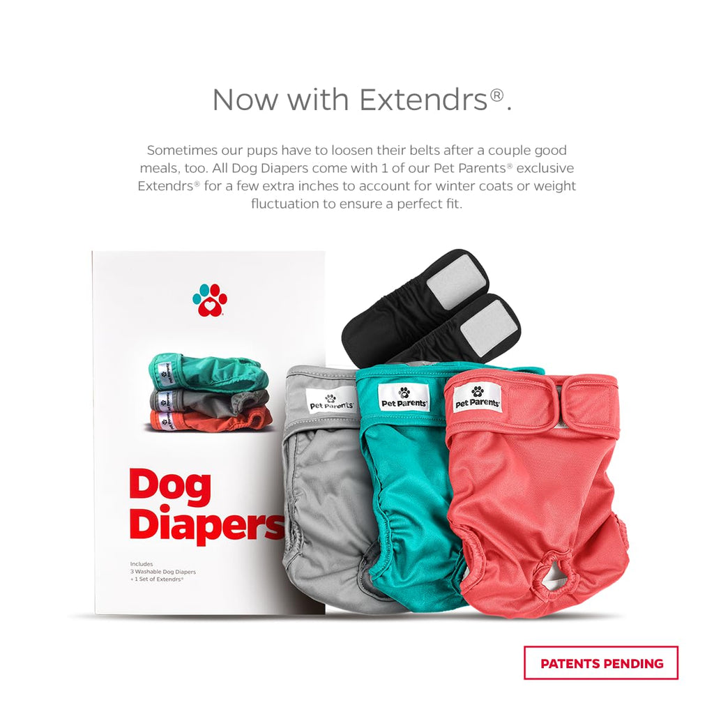 Pet Parents Washable Dog Diapers 3-Pack – X-Small (4-10") Southern Belle