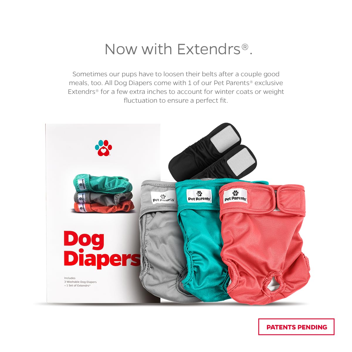 Pet Parents Washable Dog Diapers 3-Pack – X-Small (4-10") Southern Belle