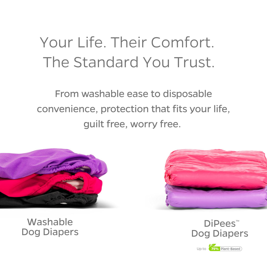 Pet Parents Washable Dog Diapers 3-Pack – X-Small (4-10") Southern Belle