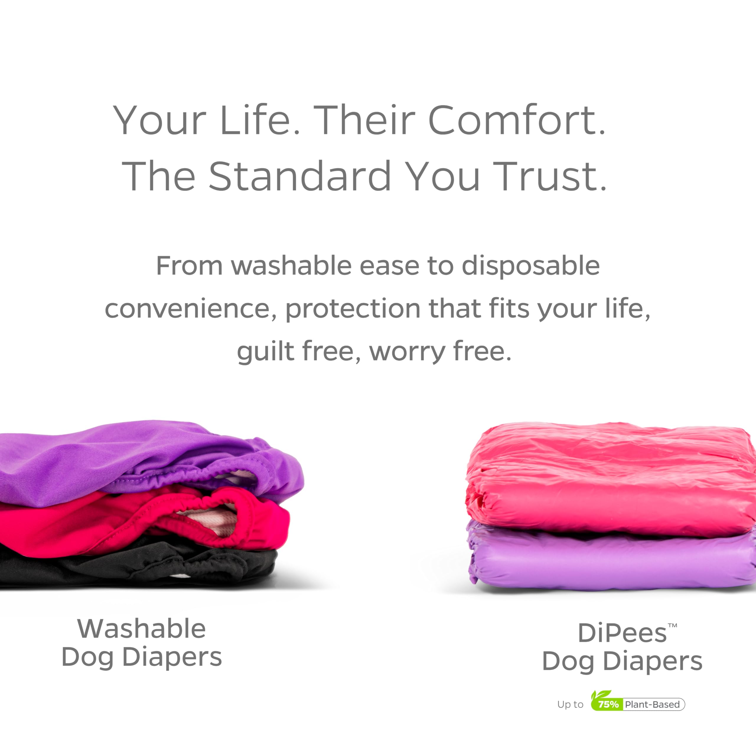 Pet Parents Washable Dog Diapers 3-Pack – X-Small (4-10") Southern Belle