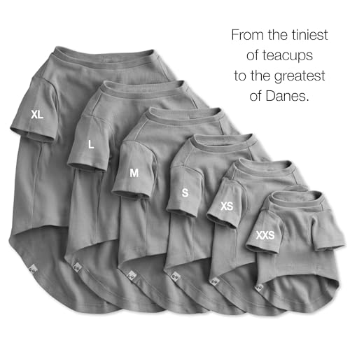 Pet Passion Toby 3-Pack Organic Cotton Dog Tees – Gray Ombre, X-Small (5-12 lbs)