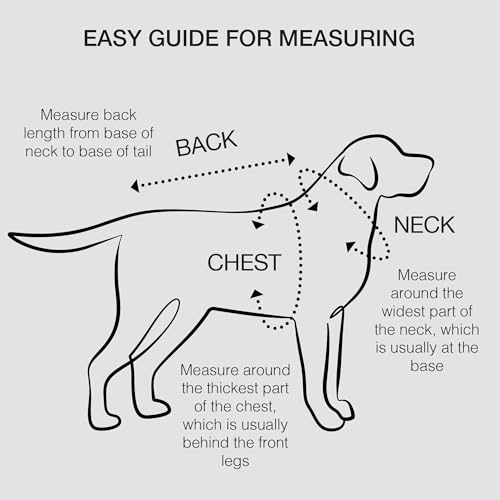 Pet Passion Toby 3-Pack Organic Cotton Dog Tees – Gray Ombre, X-Small (5-12 lbs)