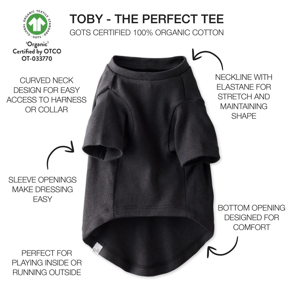 Pet Passion Toby 3-Pack Organic Cotton Dog Tees – Gray Ombre, X-Small (5-12 lbs)