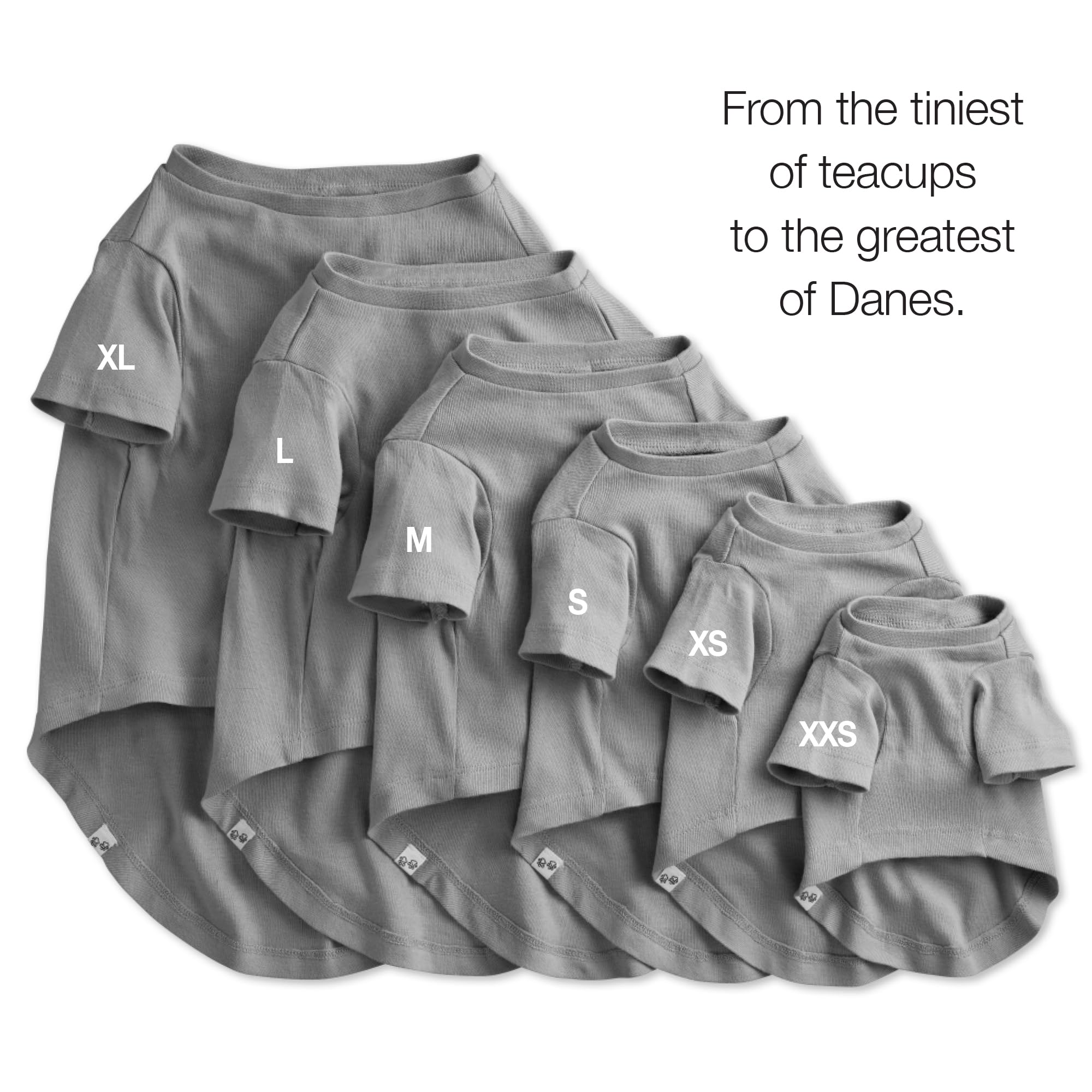 Pet Passion Toby 3-Pack Organic Cotton Dog Tees – Gray Ombre, X-Small (5-12 lbs)