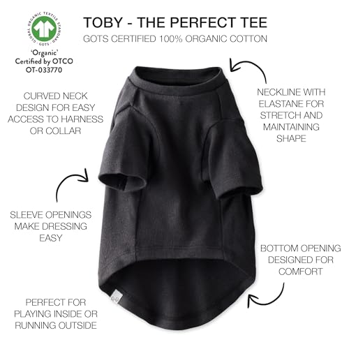 Pet Passion Toby 3-Pack Organic Cotton Dog Tees – Gray Ombre, X-Small (5-12 lbs)