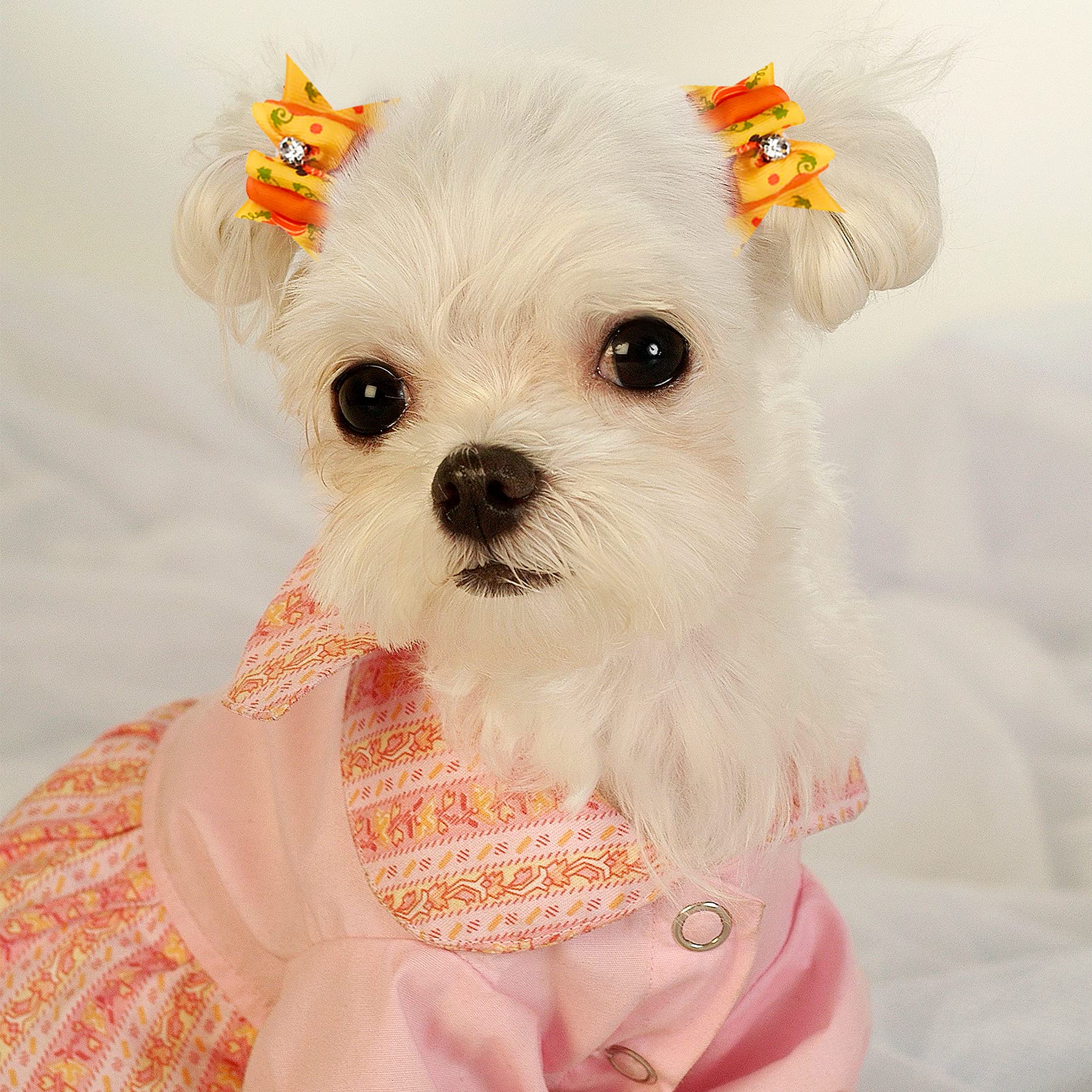 PET SHOW 50pcs Halloween Small Dog Hair Bows – Handmade Ribbon Bows with Rhinestones for Pets