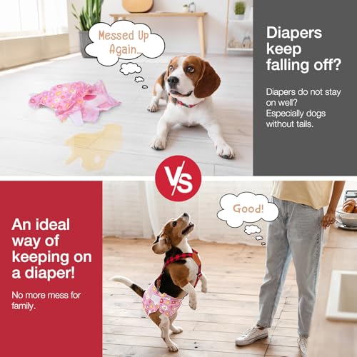 Pet Soft 2-Pack Dog Diaper Suspenders for Female Dogs, M/L - Plaid, Adjustable, Extra Clips