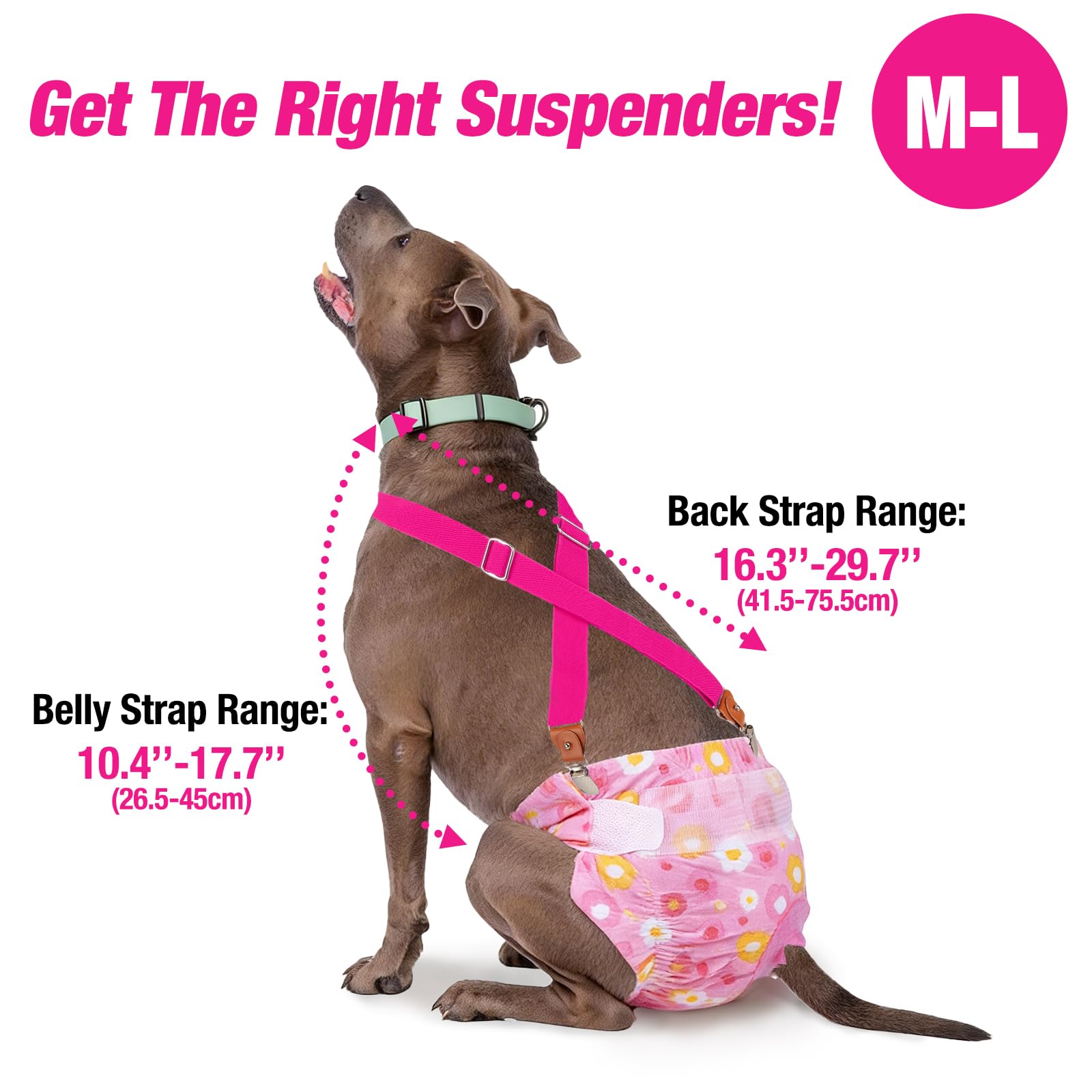 Pet Soft 2-Pack Dog Diaper Suspenders for Female Dogs, M/L - Plaid, Adjustable, Extra Clips