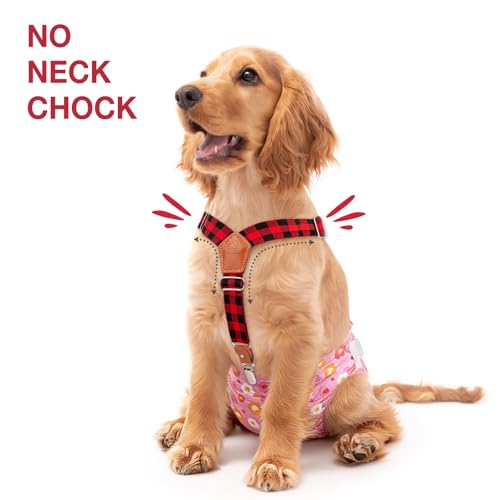 Pet Soft 2-Pack Dog Diaper Suspenders for Female Dogs, M/L - Plaid, Adjustable, Extra Clips