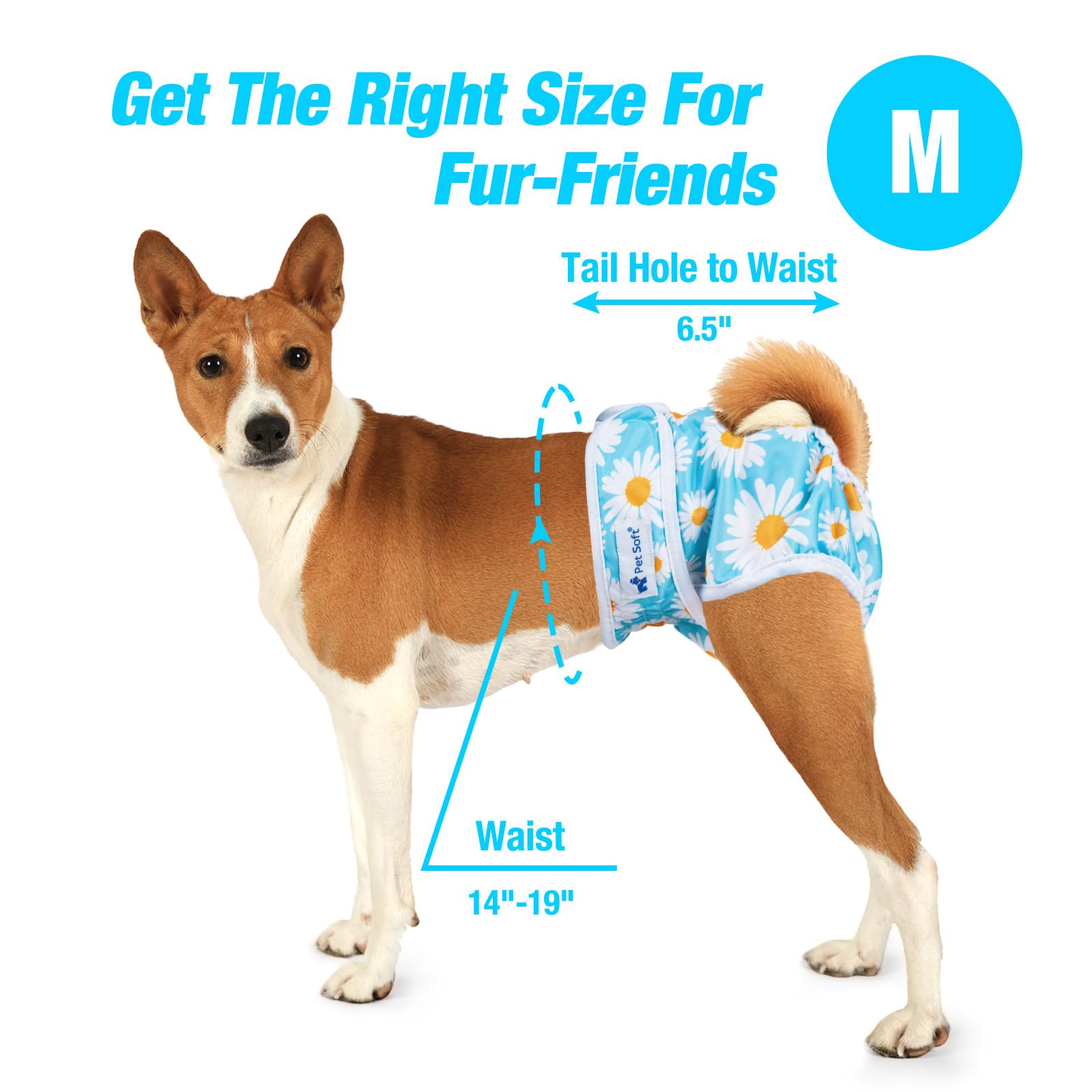 Pet Soft 3-Pack Washable Female Dog Diapers – Reusable Period Panties for Dogs in Heat, Size M (Flower Pattern)
