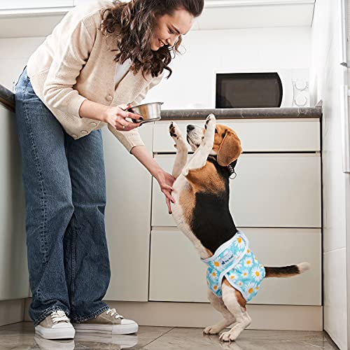Pet Soft 3-Pack Washable Female Dog Diapers – Reusable Period Panties for Dogs in Heat, Size M (Flower Pattern)