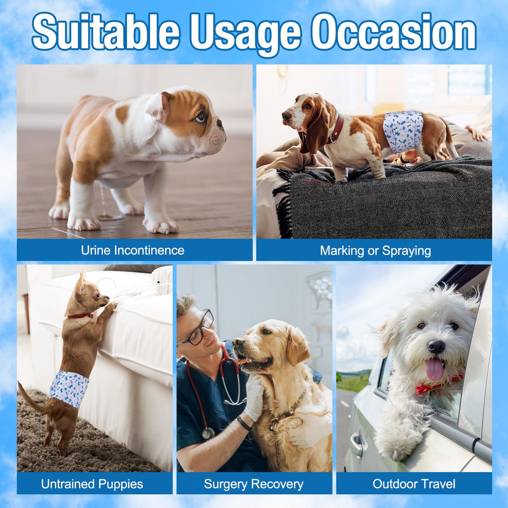 Pet Soft Disposable Male Dog Diapers, Small 20-Pack with Wetness Indicator, Blue