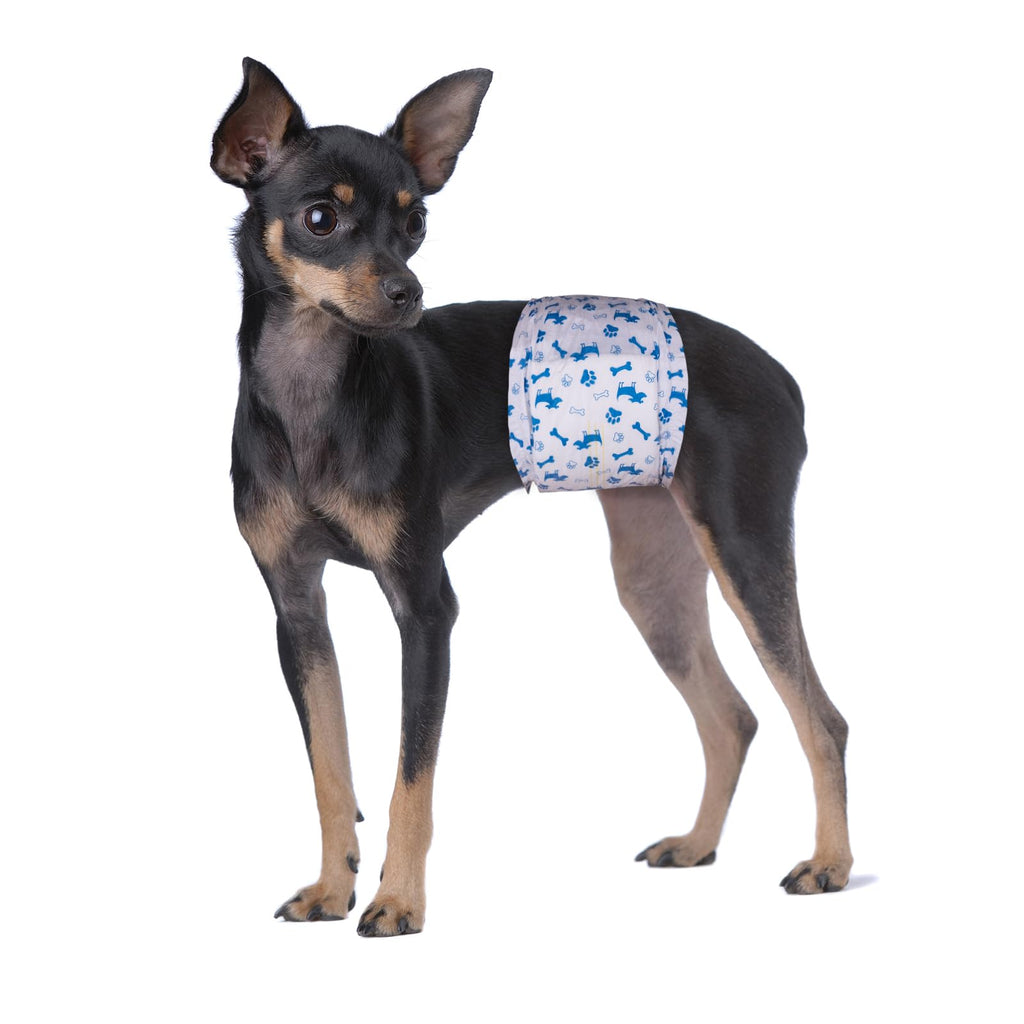 Pet Soft Disposable Male Dog Diapers, Small 20-Pack with Wetness Indicator, Blue