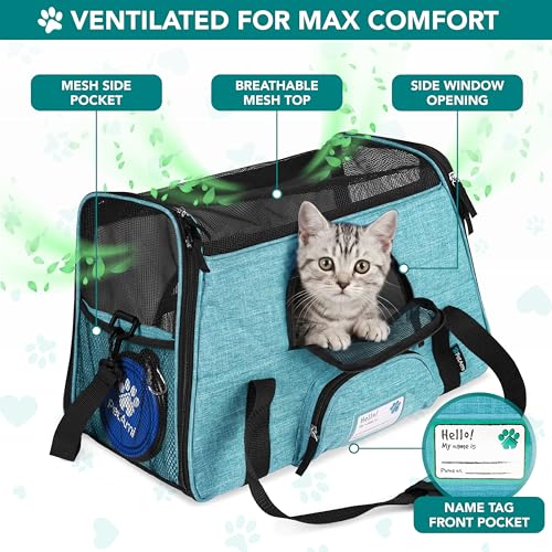 PetAmi Airline Approved Pet Carrier for Cats & Small Dogs, Soft Sided, Fits Under Seat, Up to 18 lbs, Heather Blue