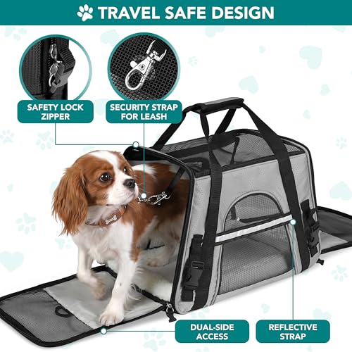 PetAmi Airline Approved Pet Carrier for Cats & Small Dogs, Soft Sided, Gray, Up to 18 lbs
