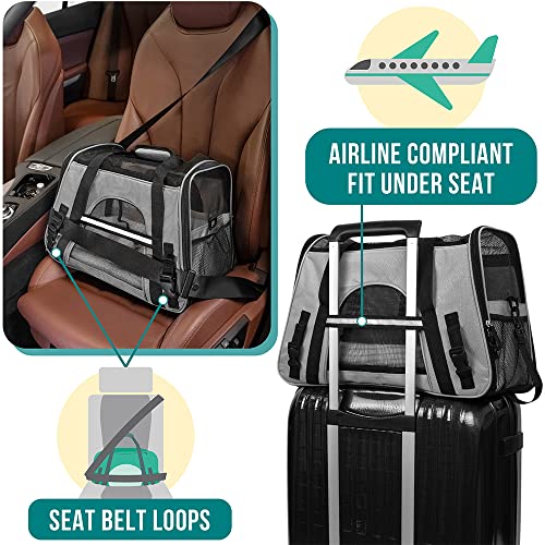 PetAmi Airline Approved Pet Carrier for Cats & Small Dogs, Soft Sided, Gray, Up to 18 lbs