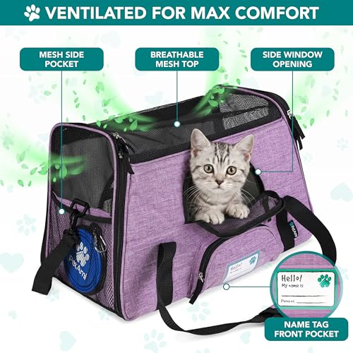 PetAmi Airline Approved Soft Sided Pet Carrier for Cats & Small Dogs - Up to 18 lbs, Heather Purple